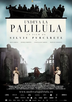 poster of movie Somewhere in Palilula