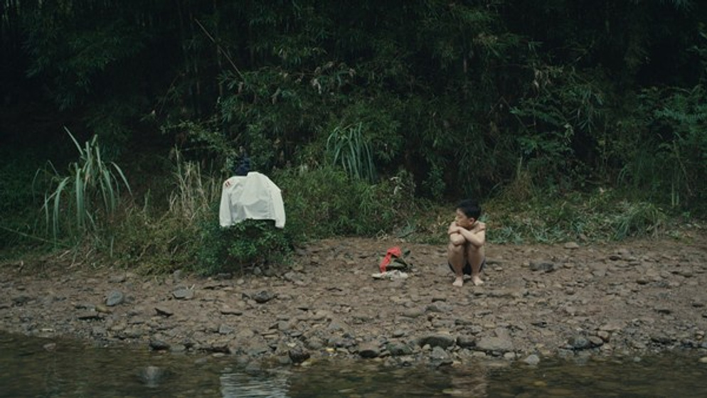 Imagen de 11 Flowers