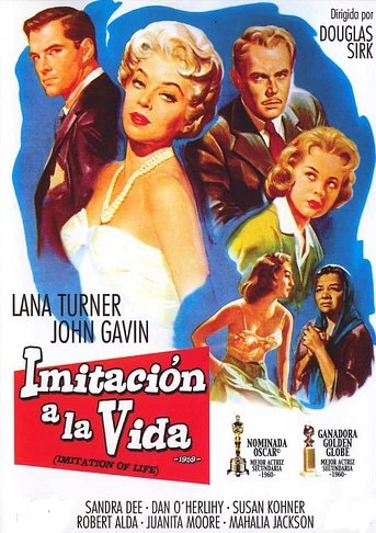 Poster de Imitación a la Vida