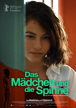 poster of movie La Chica y la araña
