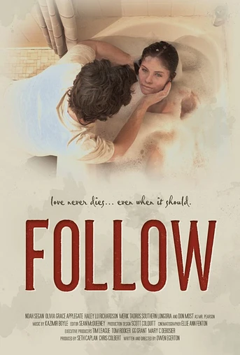 Poster de Follow