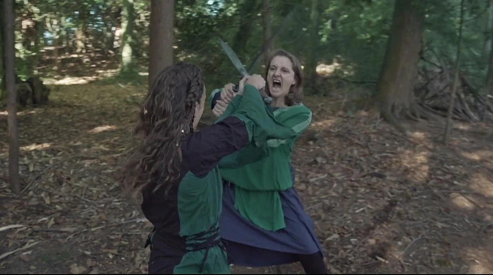 Imagen de viking-bloodlust