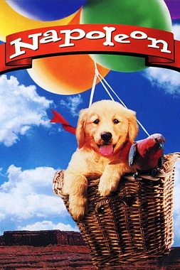 poster of movie Napoleón, el Perrito Aventurero