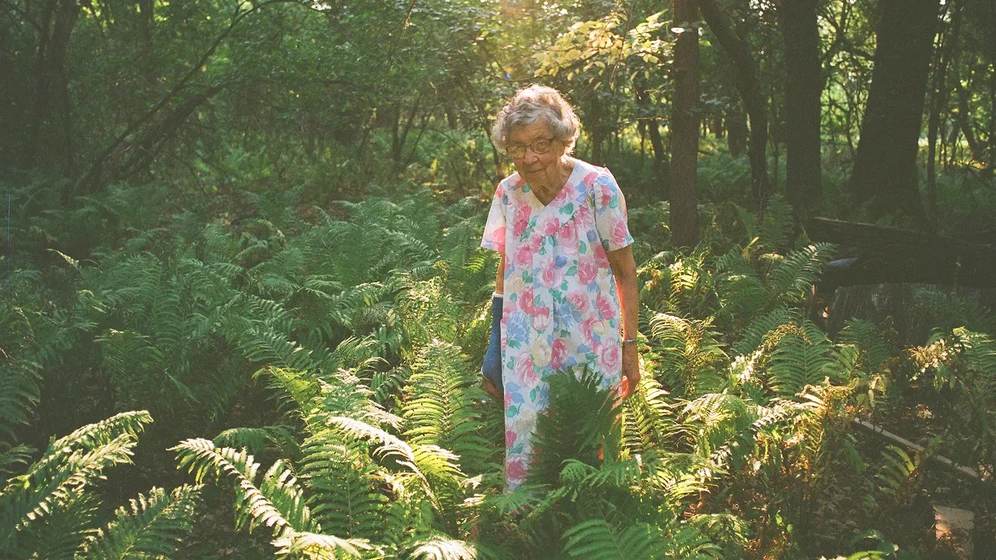 Imagen de agatha-s-almanac