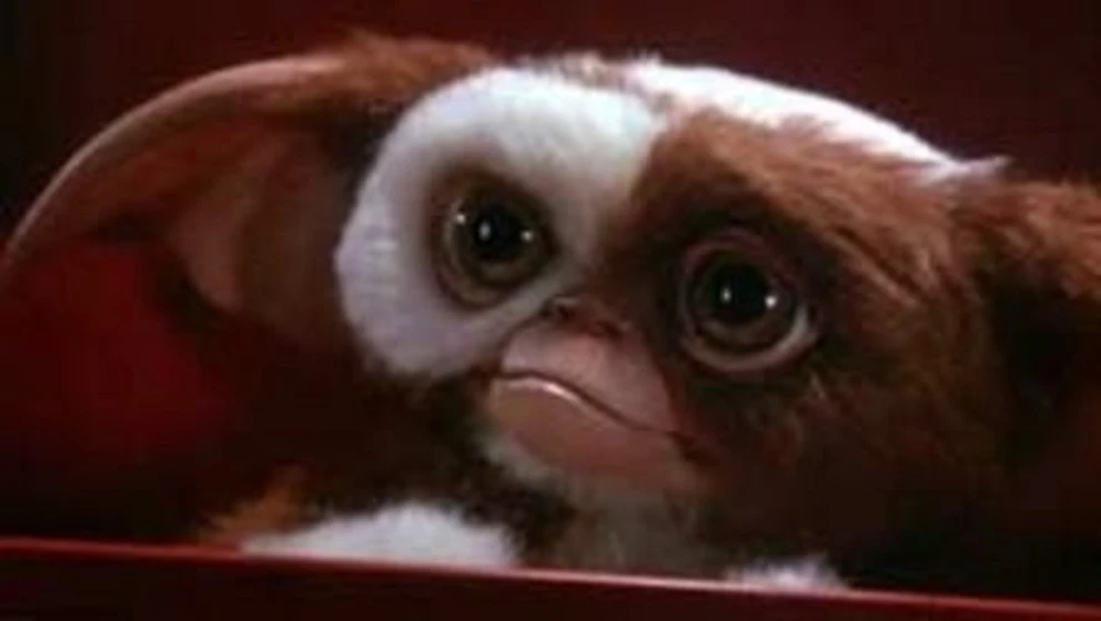 Imagen de Gremlins 2: La nueva generación (Gizmo)