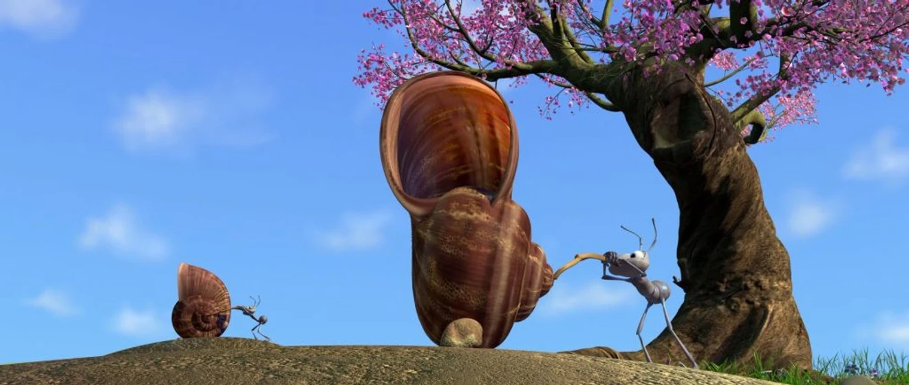 Imagen de bichos