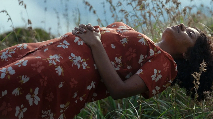 Imagen de Spying Stars