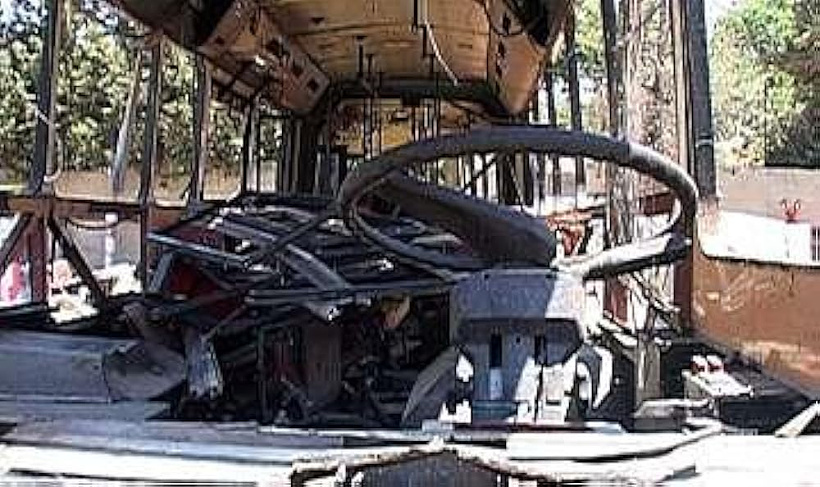 Imagen de Surviving the Terror