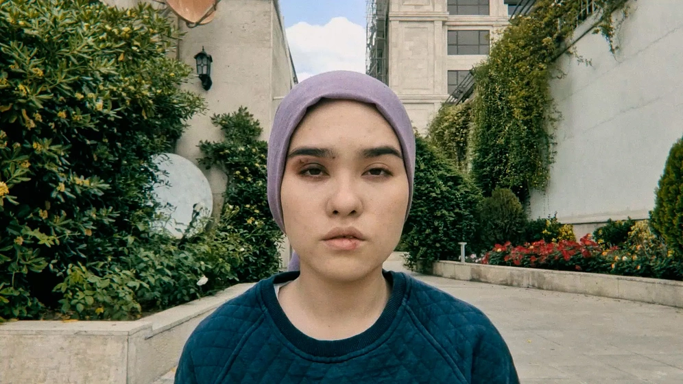 Imagen de a-fox-under-a-pink-moon