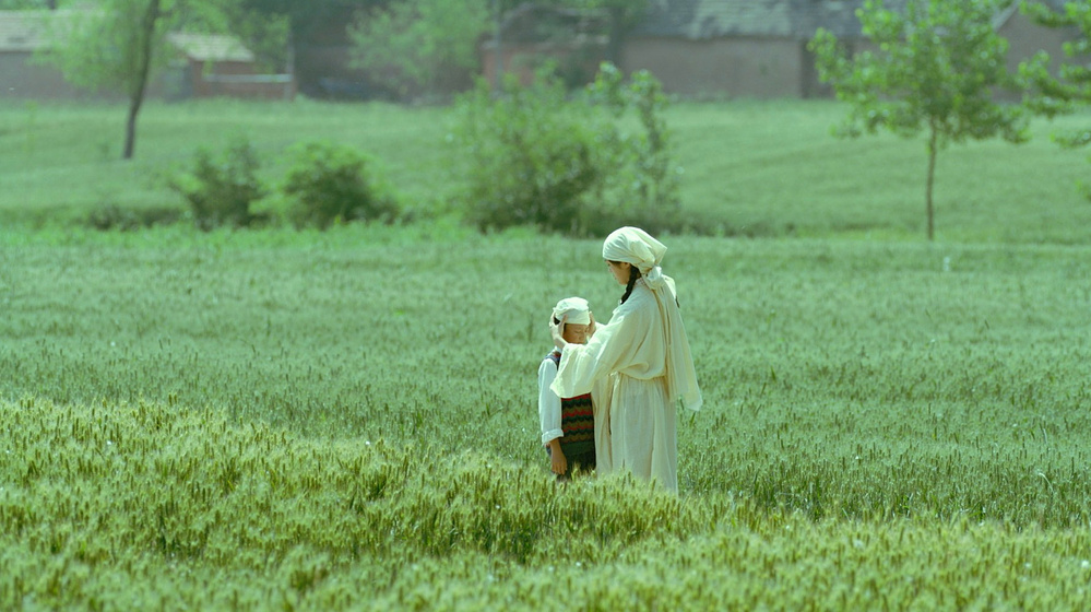 Imagen de Living the Land