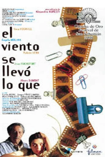 Poster de El Viento se llevó lo qué