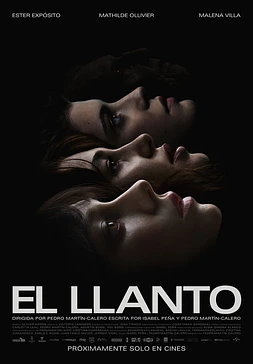 poster of movie El Llanto