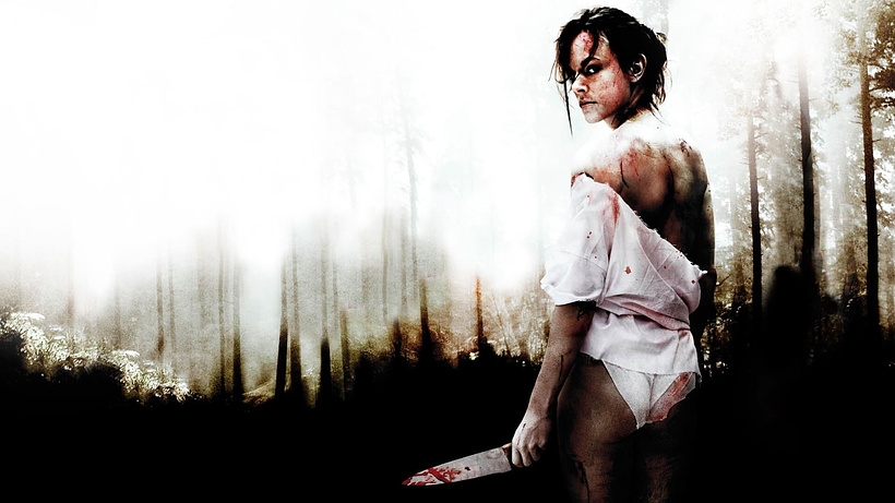 Imagen de I Spit on Your Grave