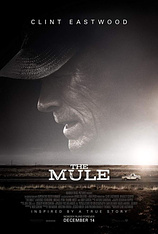 poster of movie Mula