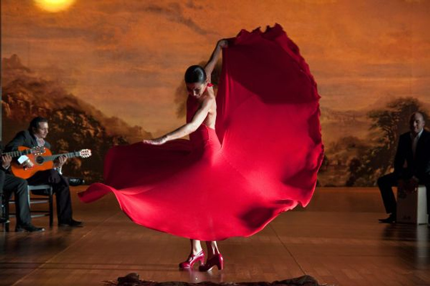 Imagen de Flamenco, flamenco