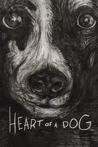 Poster de Heart of a dog