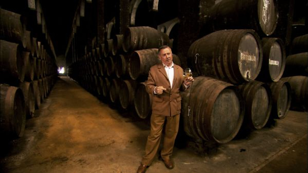 Imagen de Las Catedrales del vino