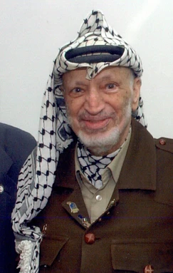 Mi hermano Arafat