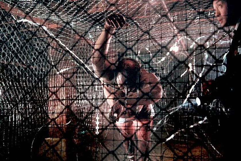 Imagen de Saw