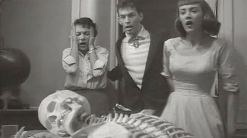 Imagen de Teenagers from Outer Space