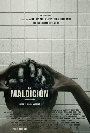 poster of content La Maldición (2019)