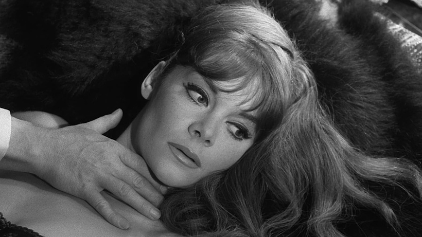 Imagen de L'Immortelle