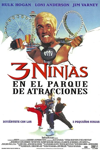 Poster de 3 Ninjas en el Parque de Atracciones (Tres Pequeños Ninjas 4)