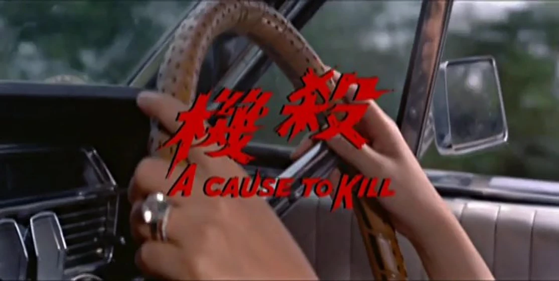 Imagen de a-cause-to-kill