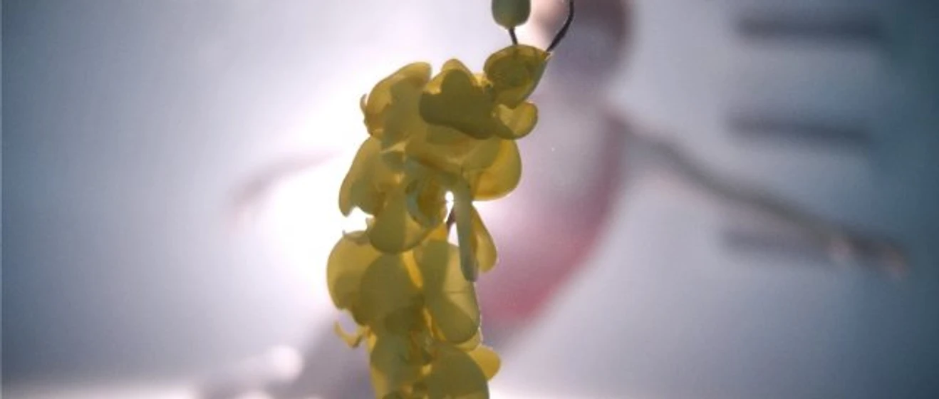 Imagen de Upstream Color
