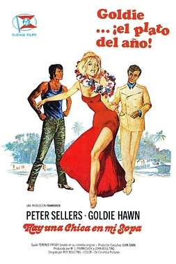 poster of movie Hay una Chica en mi Sopa