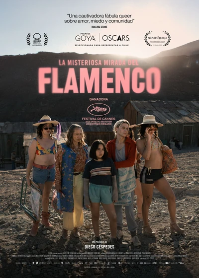 Imagen de la-misteriosa-mirada-del-flamenco