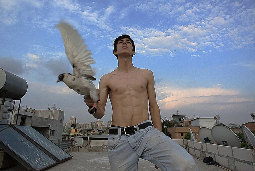 Kemal Burak Alper en the-pigeon
