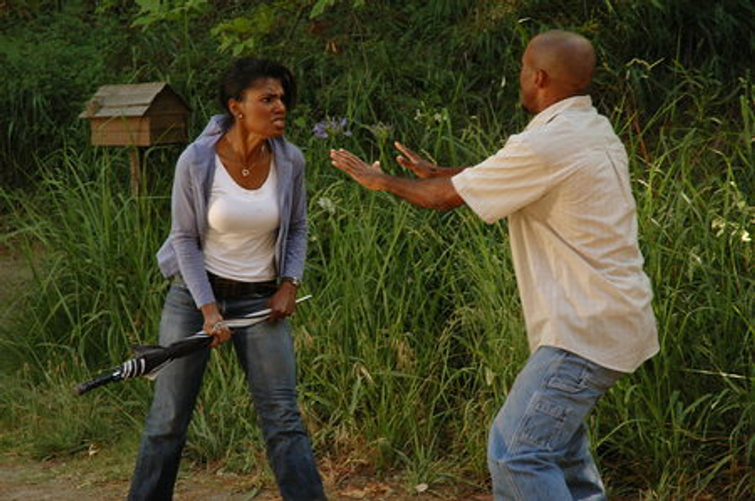 Denise Boutte en Sister's Keeper