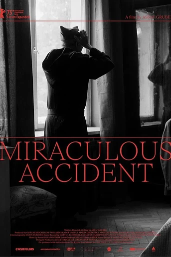 Poster de Miraculous Accident
