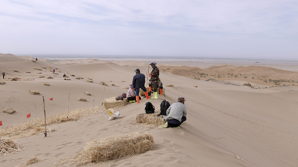 Imagen de elements-of-f-balance