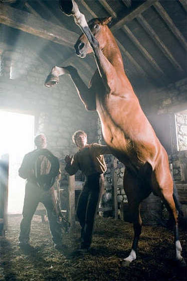 Peter Mullan y Jeremy Irvine en War Horse (Caballo de batalla)