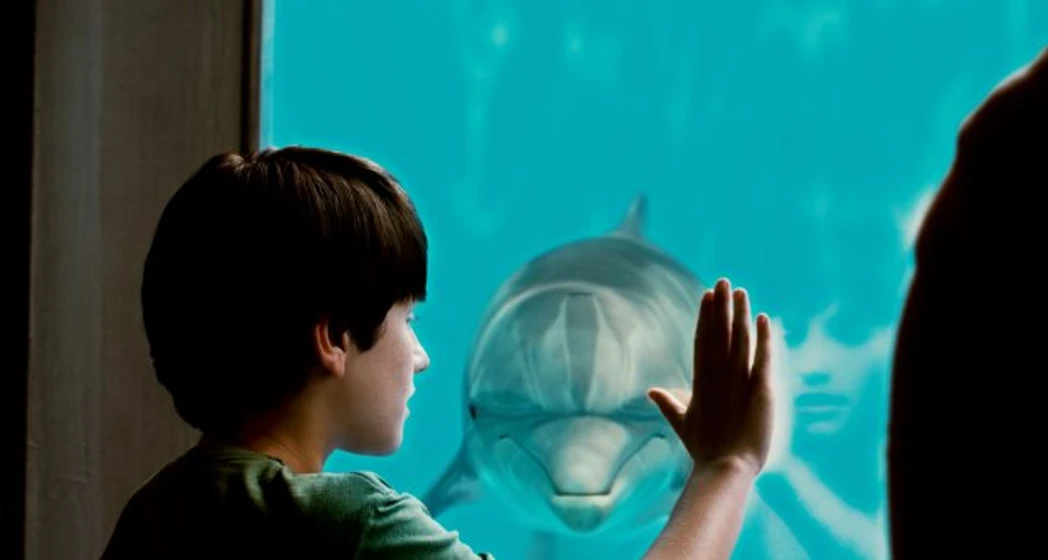 Nathan Gamble en La Gran aventura de Winter el delfín