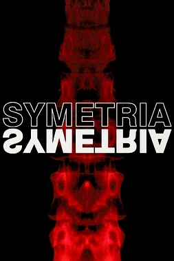 poster of movie Simetría
