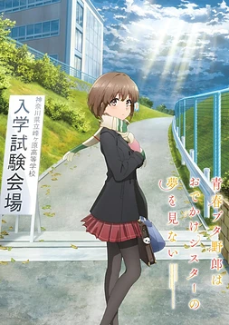 Rascal Does Not Dream of a Sister Venturing Out