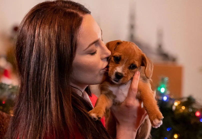 Charlotte Sullivan en encontrando-el-amor-en-navidad