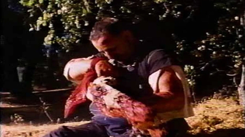 Imagen de Almuerzo Fatal