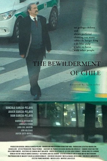 Poster de The Bewilderment of Chile