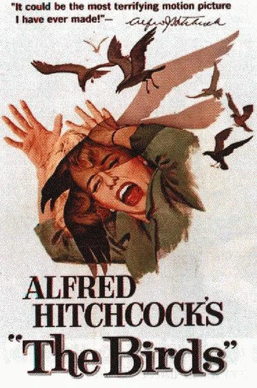 Imagen de los-pajaros (Cartel)