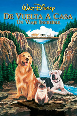 poster of movie De vuelta a casa, un viaje increíble