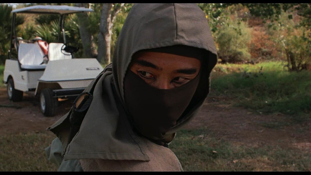 Imagen de Ninja III: La Dominación