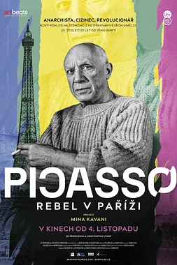 poster of movie Picasso: Un Rebelde en París