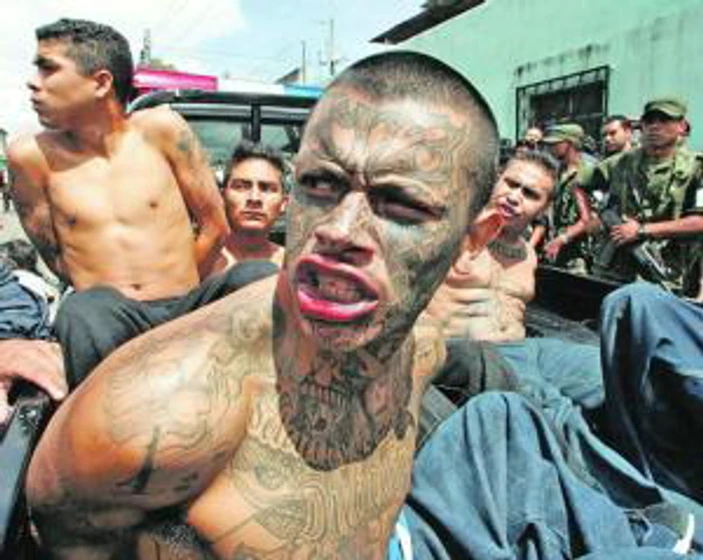 Imagen de maras