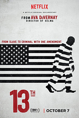 poster of movie Enmienda XIII