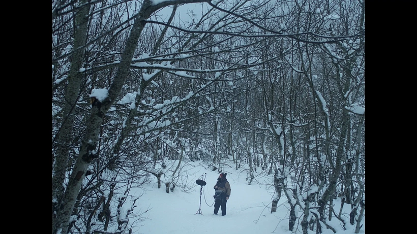 Imagen de Valle Blanco, Gallo Negro