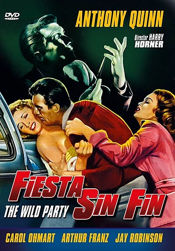 Poster de Fiesta sin Fin